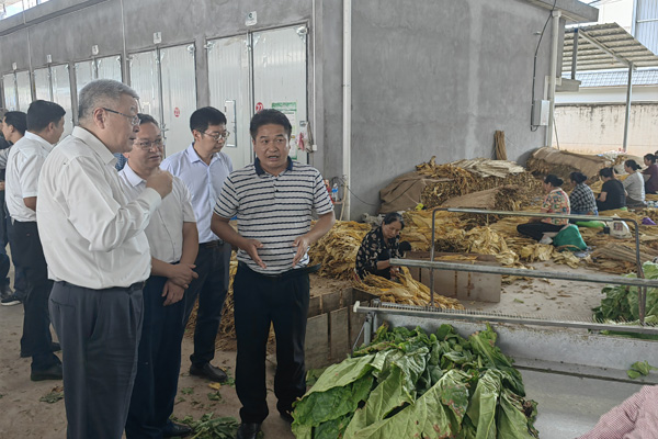 牛书记调研帮扶工作1小图 牛书记调研帮扶工作1小图